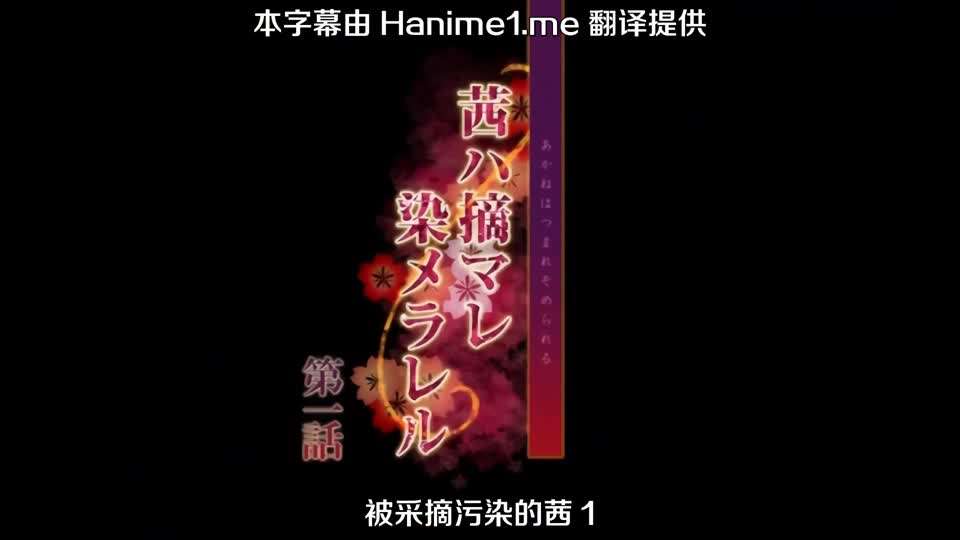 理论片电影院手机在线观看_理论片电影院迅雷下载